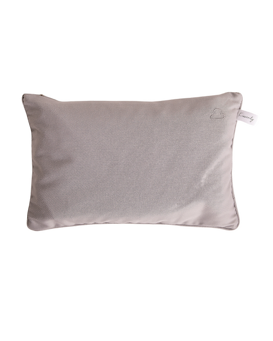 Gray Travel Pillow